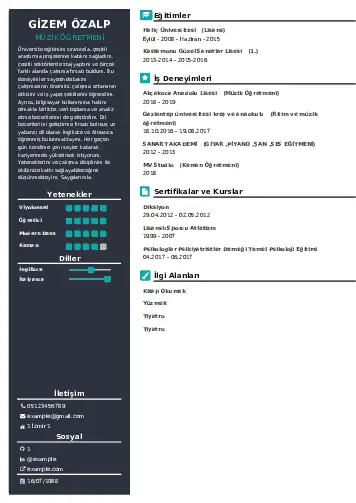 Müzik Öğretmeni Cv Örnekleri cv indir